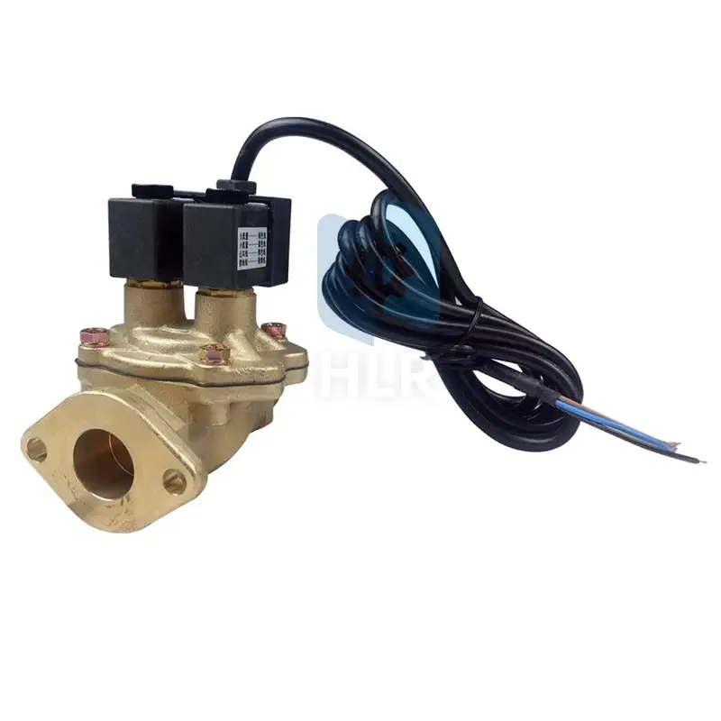 Fuel Dispenser Valve